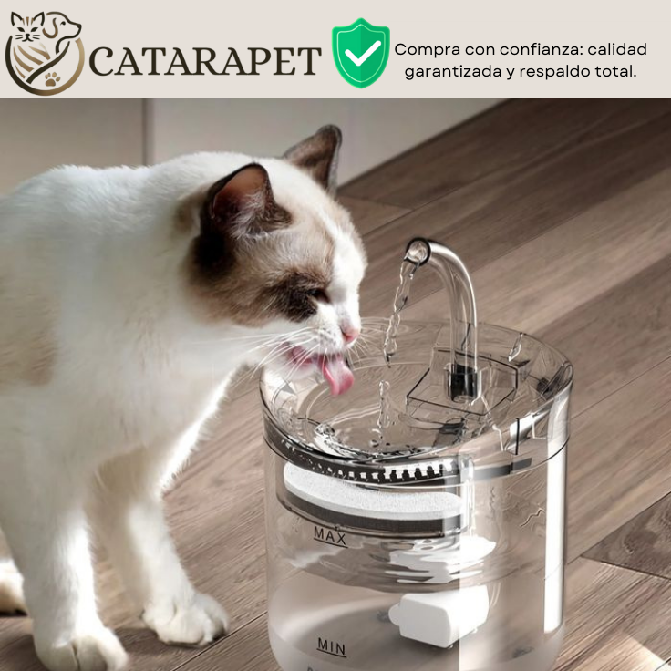 Fuente de agua para mascota + sensor